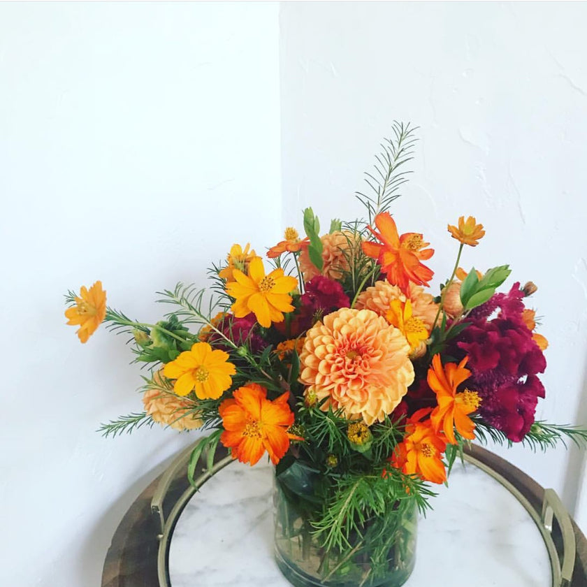 Designer's Choice- Seasonal Autumn