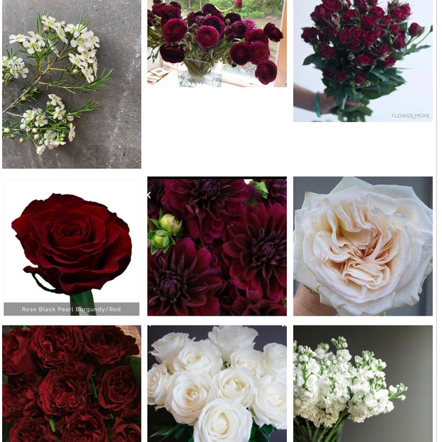 Burgundy Floral Vector Images (over 5,000)