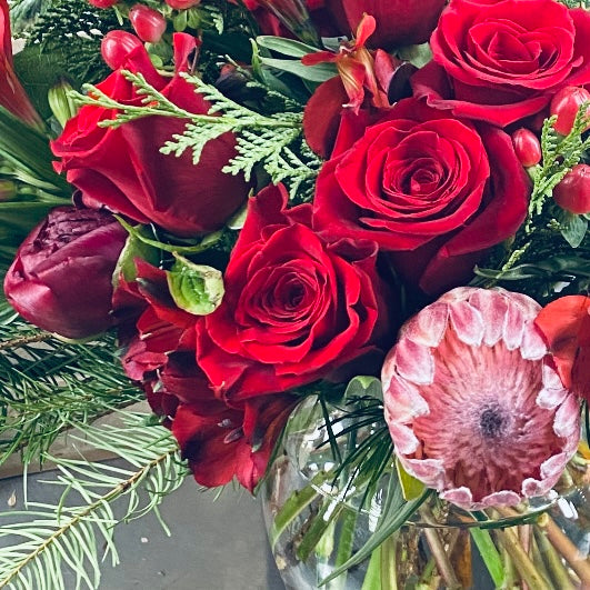 Designer's Choice- Winter