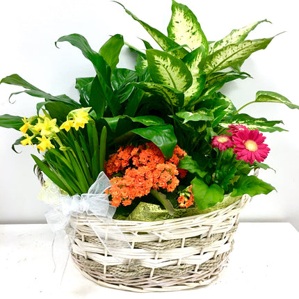 Seasonal Plant Basket