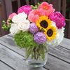 Designer's Choice- Bright & Colorful