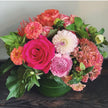 Designer's Choice- Bright & Colorful