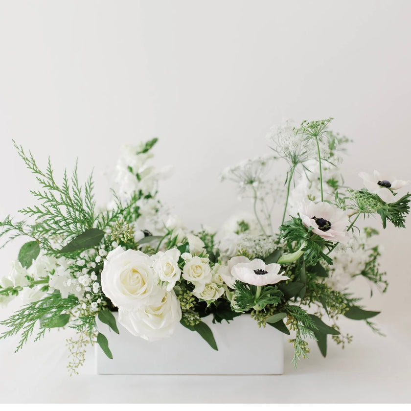 Designer's Choice- Winter