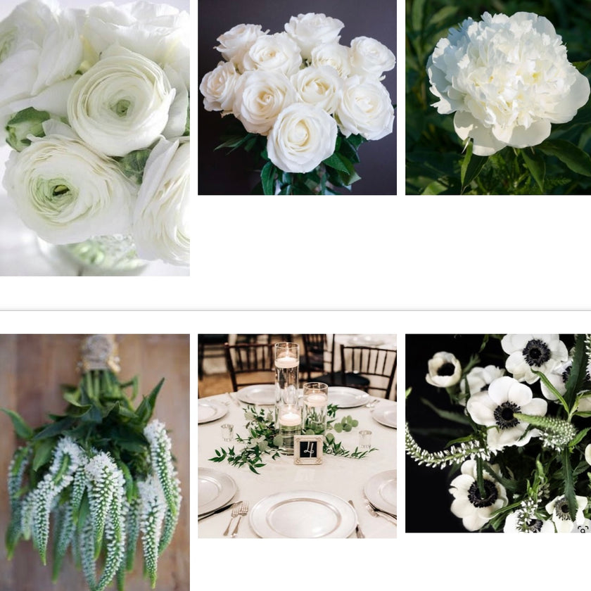 The Dramatic White Collection