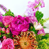 Designer's Choice- Seasonal Summer