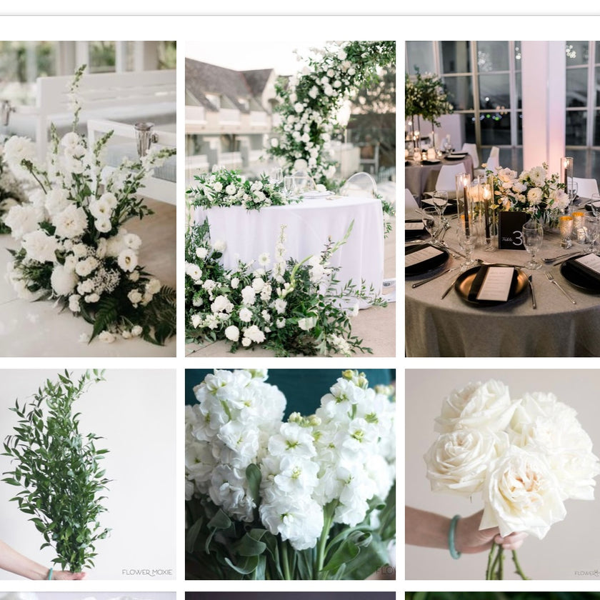 The Dramatic White Collection