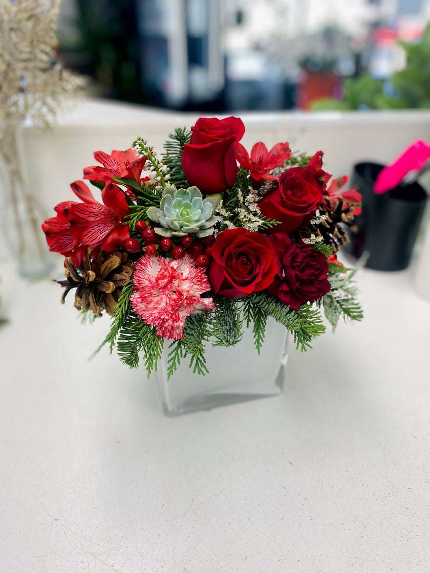 Designer's Choice- Winter