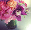 Designer's Choice- Seasonal Summer